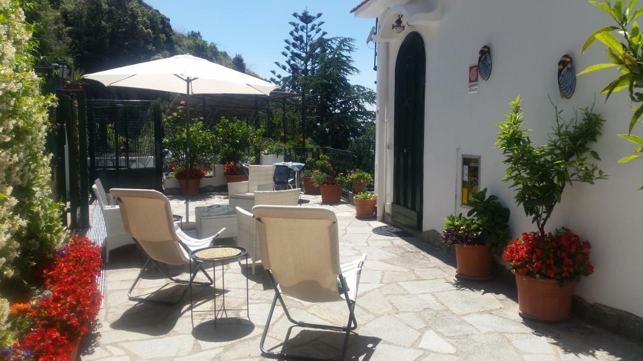Le Cicale - Apartments Conca dei Marini Exterior photo